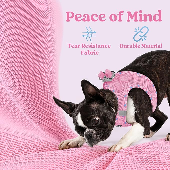 rabbitgoo Step-in Small Dog Harness, Puppy Vest for Small Sized Pet | Easy Put on and off, Lightweight, Soft, Breathable Quick-Dry Air Mesh for Comfortable Secure Walking, Pink & Plaid Trim S