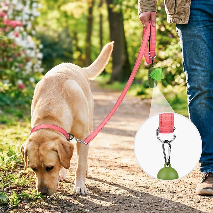 Joytale Reflective Dog Leash for Small Dogs, 6 FT x 3/4", Neon Pink | Heavy Duty Nylon Webbing, Padded Handle for Comfort, Visible at Night, for Walking & Training