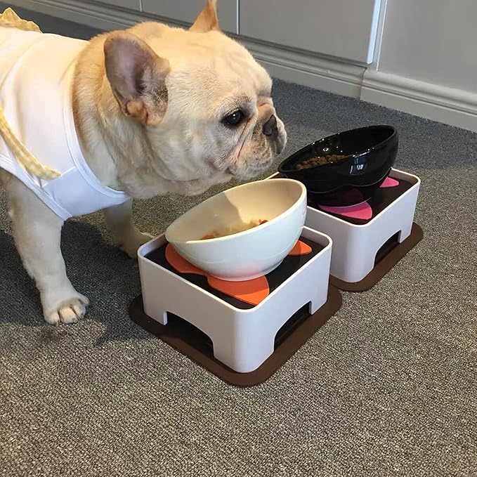 Bulldog Bowl Anti-Slip Dog Cat Dish Detachable Dog Bowls Pet Sterile Tilted Pet Feeder Slope Base (Black,Ceramic - 1.5 Cup