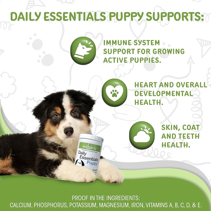 waggedy Daily Essentials Puppy – Full-Spectrum Functional Treats, Small or Large Breed Puppy Supplements – Dog Supplements & Vitamins – Dog Essentials for Puppies (60 Chews)