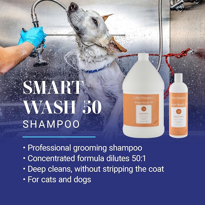 Chris Christensen Smartwash50 Papaya Starfruit Ultra Concentrated Dog Shampoo, Makes Up to 50 Bottles, Groom Like A Professional, Delightfully Fragranced, Suitable for All Coats, Made in USA, 16 Oz