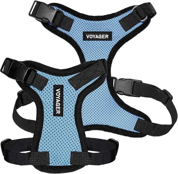 Voyager Step-in Lock Dog Harness - Baby Blue/Black Trim, Small | 15 - 18" in Chest, Adjustable, Breathable Air Mesh, Lightweight for Daily Walks, Strong Clips, Heavy Duty D-Ring