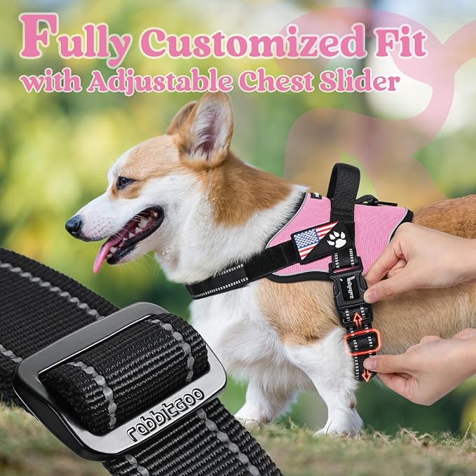 rabbitgoo No Pull No Choke Pet Vest, Adjustable Pet Harness with Molle | Large Sized Dog Harness, Reflective, Easy Wearing with One Buckle for Walking, Training, Pink, L