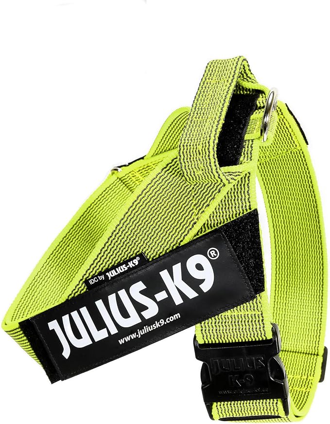 Julius-K9, IDC Color & Gray Belt Harness, Size: 2XL / 3, Neon-Gray
