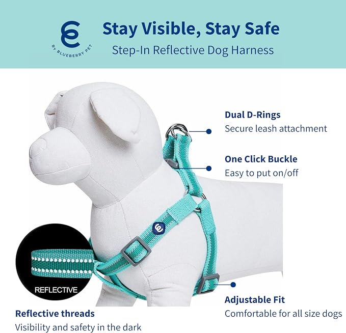 Blueberry Pet Essentials Step-in Reflective Back to Basics Dog Harness, Minty Green, Chest Girth 26" - 39", Large, Adjustable Harnesses for Dogs
