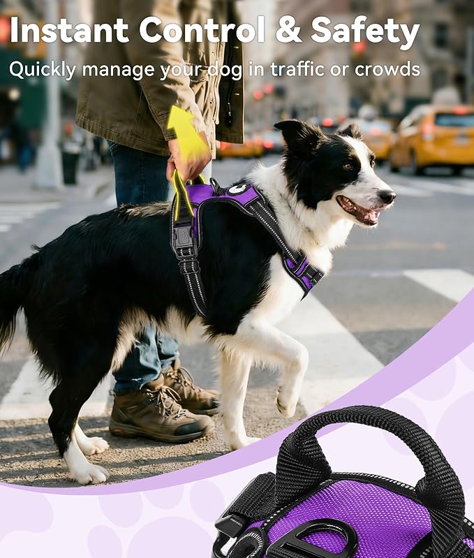 Joytale No Pull Dog Harness for Extra Large Dogs, Front Clip, Purple | Grab Handle for Instant Control, Padded & Adjustable Vest, Sturdy Metal D-Rings, for Safe Training & Daily Walking