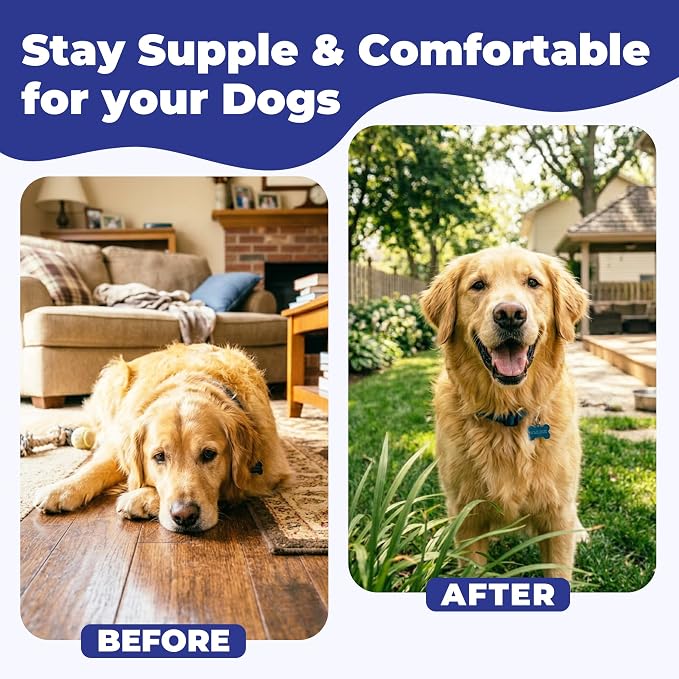Hip & Joint Supplement for Dogs, Hip and Joint Chews Support Mobility, Senior Small All Breed Pain Relief with Glucosamine Chondroitin MSM Turmeric Green Lipped Mussel, Chicken Flavor, 100 Ct
