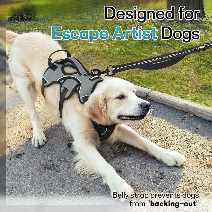 rabbitgoo Escape Proof Dog Harness for X-Large, No Pull with Lift Handle | No Escape, Full Soft Padded, Reflective Adjustable Vest, Leash Clip for Walking Hiking Training, Grey, X-Large