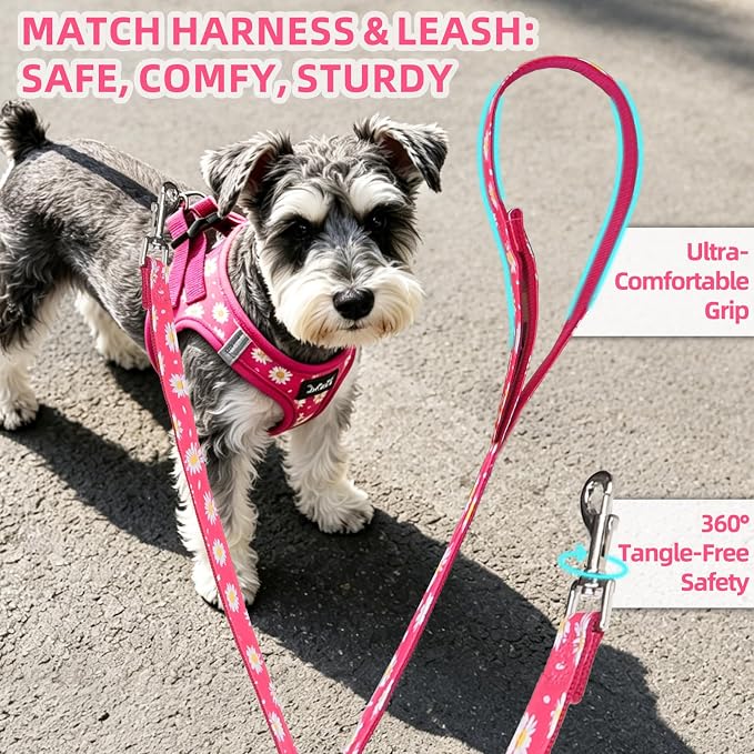 PUPTECK Dog Harness and Leash Set for Small Medium Dogs No Pull Step-in Soft Mesh Puppy Cat Vest Harnesses Reflective at Night, Fuchsia Daisy, S