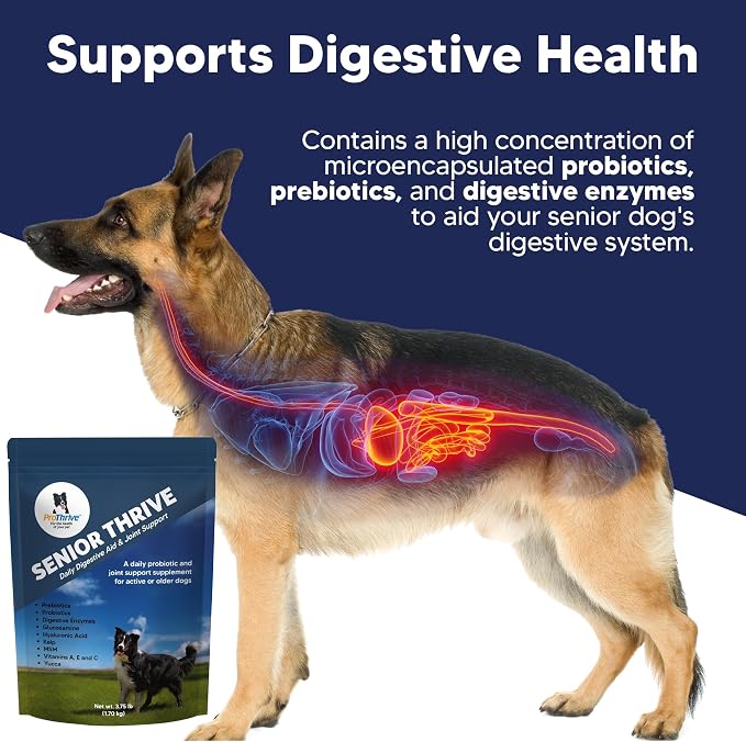 ProThrive Senior Dog Digestive & Joint Supplement - Supports Healthy Digestion, Immune System, and Joint Comfort for Aging Dogs, Advanced Relief 3.75 Lb