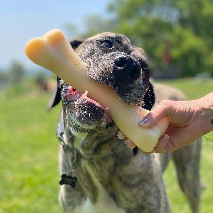Nylabone Power Chew Monster Bone Dog Chew Toy, Chicken Flavor, XX-Large | Durable dog toys for aggressive chewers, long lasting, discourages destructive chewing, flavor throughout, for dogs 50++ lbs