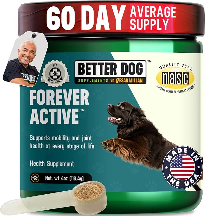 Better Dog Forever Active Hip and Joint Supplement Powder for Dogs, 4 oz