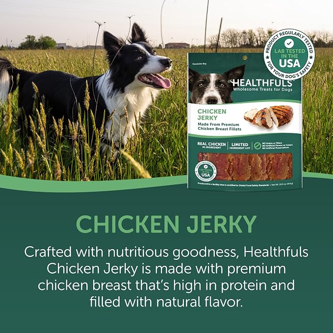 HEALTHFULS Chicken Jerky Dog Treats, 20oz