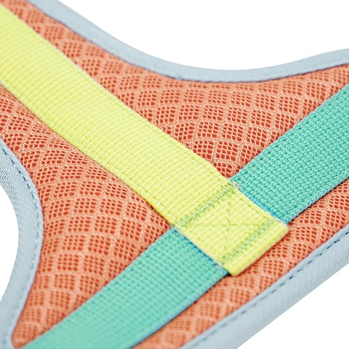 Blueberry Pet Vibrant Mesh Padded Ultra Cool Lightweight Dog Harness Vest in Coral, Large, Neck 21", Chest 24¾"~30¼"