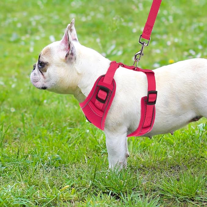 PUPTECK Small Dog Harness and Leash Set, No Pull Adjustable Puppy Cat Harness, Reflective Soft Mesh Pet Vest Small Sized, Fuchsia, M