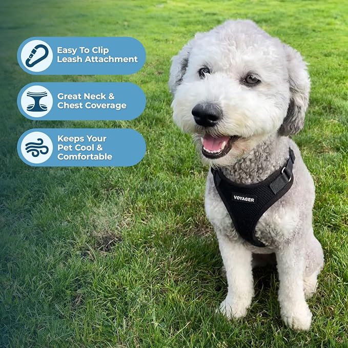 Best Pet Supplies Voyager Step-in Lock Pet Harness w Reflective Pet Leash Combo Set with Neoprene Handle 5ft - Supports Small, Medium and Large Breed Puppies/Cats - Black Set, XS
