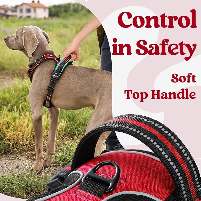 rabbitgoo Dog Harness Small Sized, Updated Easy On & Off with 3 Buckles | No Pull No Choke, Walking with 2 Clips and Handle, Adjustable Soft Reflective, Red, Small