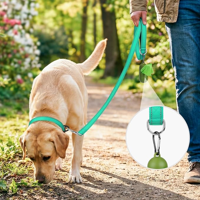 Joytale Reflective Dog Leash for Medium & Large Dogs, 4 FT x 1", Turquoise | Heavy Duty Nylon Webbing, Padded Handle for Comfort, Visible at Night, for Walking & Training
