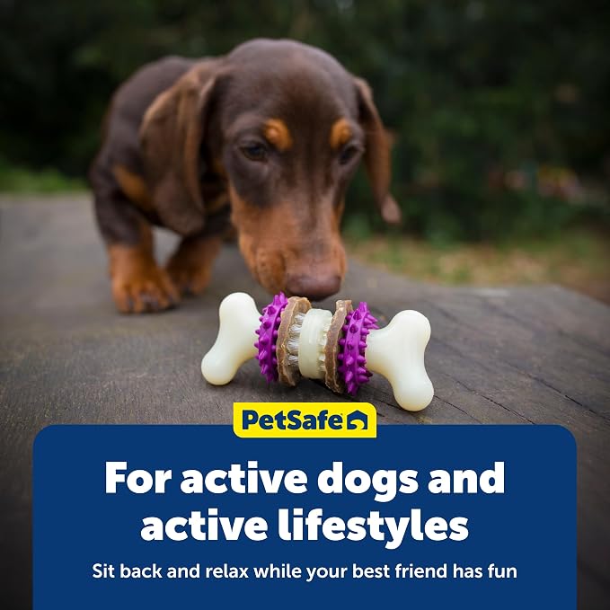 PetSafe Busy Buddy Bristle Bone Dog Treat Holding Chew Toy, Small | Toothbrush-In-A-Toy Design Helps Clean Teeth While Dog Chews, Holds Treat Rings, Durable, Interactive Play, for Dogs 10-25 Lb