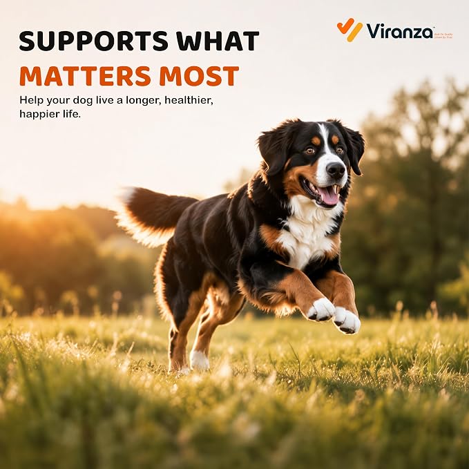 120 Dog Multivitamin | 8-in-1 Dog Allergy Chews | Probiotics for Dogs | Daily Dog Vitamins & Supplements, Chicken Flavor Multivitamin for Digestion, Gut, Hip & Joint, Skin & Coat and Immune Support