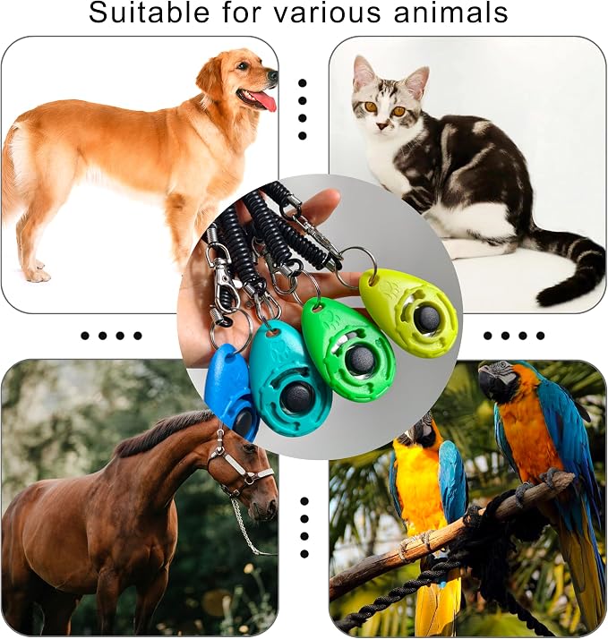 Pet Training Clicker with Wrist Strap, Aqua/Jade Green/Blue/Lime Green