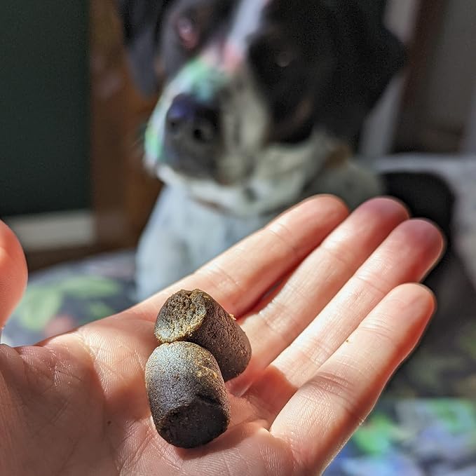 Hemp Well Calm Soft Chews for Dogs, Organic Stress Relief for Pets, 120ct