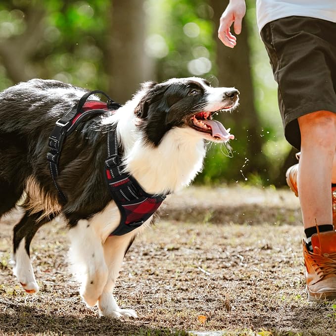 rabbitgoo Dog Harness, No Pull for Large Dogs with 2 Leash Clips, Pet Vest | No Choke with Handle, Adjustable Soft Padded, Reflective, Easy Control for Walking, Red Plaid, Small