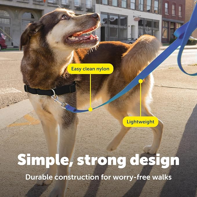 PetSafe Nylon Dog Leash - Strong, Durable, Traditional Style Leash with Easy to Use Bolt Snap - 1 in. x 4 ft., Royal Blue | Durable Nylon Leash with Easy on/off Bolt Snap Hook, Pairs Perfectly with Easy Walk Harness and Gentle Leader Headcollar