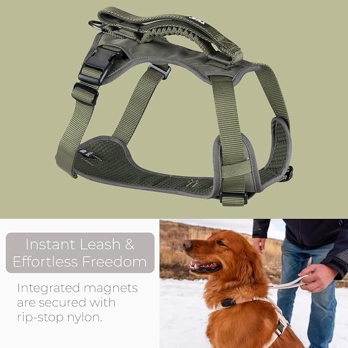 TUG Grab Dog Harness with Built-in Magnetic Traffic Leash (Medium/Green) | Padded Magnetic Traffic Handle | Dual Leash Clips | 4-Point Adjustable Fit | Durable Nylon
