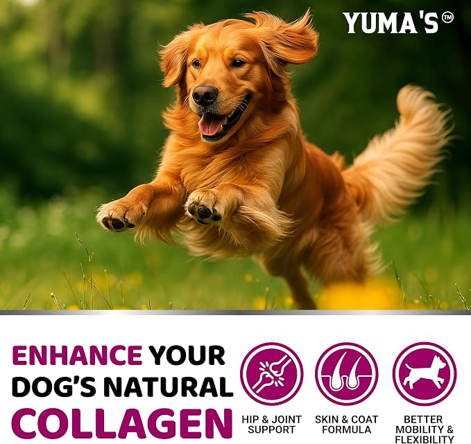 Advanced Collagen for Dogs - 170 Chews - Hip and Joint Supplement Peptides