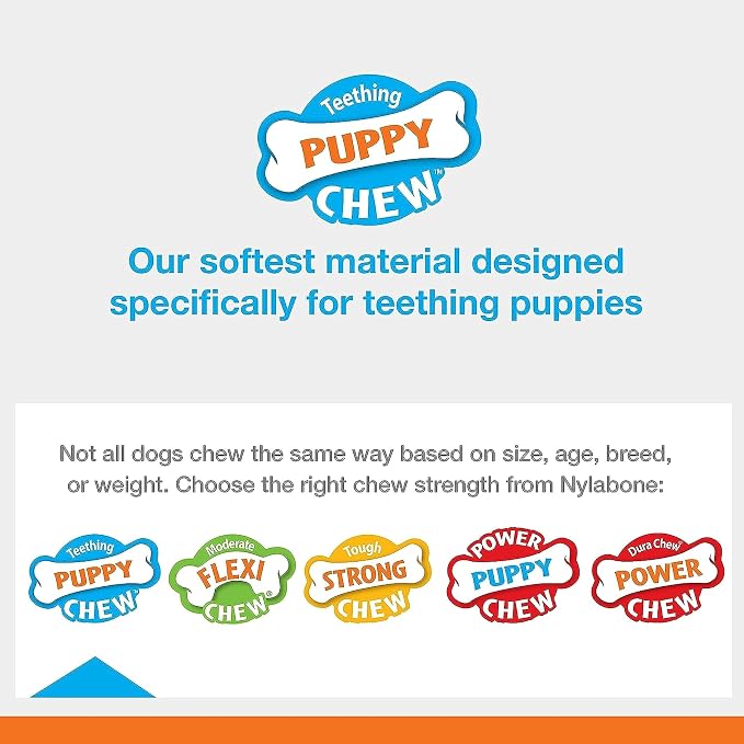 Nylabone Puppy Chew Rubber Textured Teether Dog Chew Toy, Vanilla Flavor | Small, natural rubber, soothing teething toys for puppies, puppy enrichment, puppy teething relief, up to 25 lbs