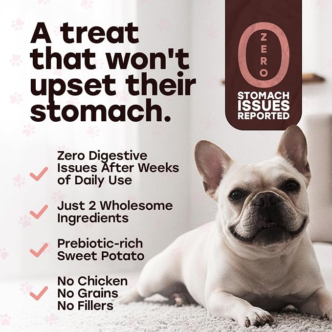 Wild Catch Treats – Freeze Dried Salmon & Sweet Potato Dog Treats – Single Protein, 43% Protein, 3% Omega-3 – Raw Training Treats & Meal Topper – Grain Free – 5.5 oz (300 Count)