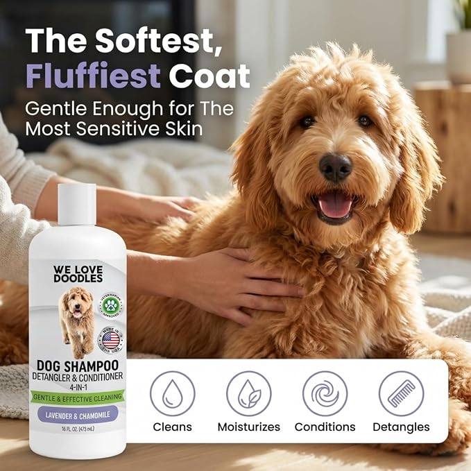 Dog Shampoo & Dog Detangler Spray, Dog Bath Supplies Tearless Lavender 16oz | Best Shampoo, Detangling & Dematting Spray for Dogs, For Sensitive Itchy Skin, Tangle Remover, Goldendoodle, Poodle & Doodle