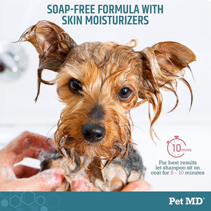 Pet MD Benzoyl Peroxide Shampoo for Dogs, Cats, & Horses - 16oz | Helps Remove Dead Skin & Unclog Pores - Seborrhea and Degreasing Shampoo for Pet Skin Maintenance - Sweet Pea Vanilla Scent