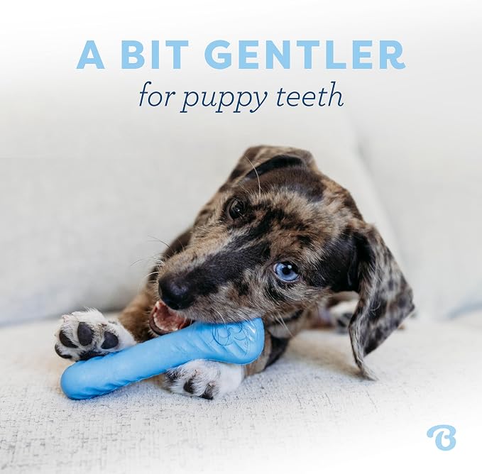Benebone Puppy 2-Pack Rubber Bone/Wishbone Bacon Tiny | Dog Bones, Puppy Teething Toys, Puppy Toys, Long-Lasting
