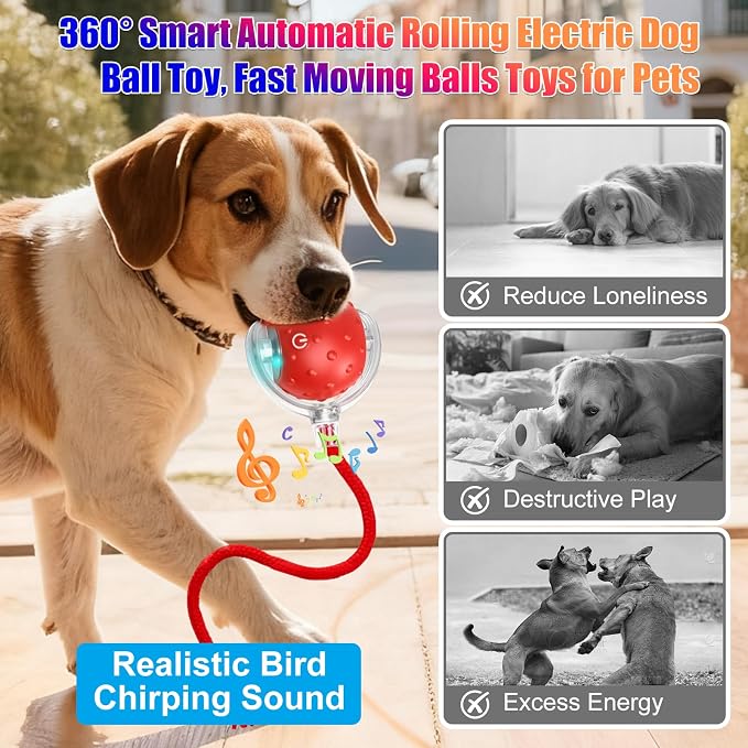 Tiny Fetch Dog Toy, Tinyfetch Interactive Dog Cat Toys Balls with Birdsong, 360° Smart Automatic Rolling Electric Dog Ball Toy, Fast Moving Balls Toys for Pets (red)