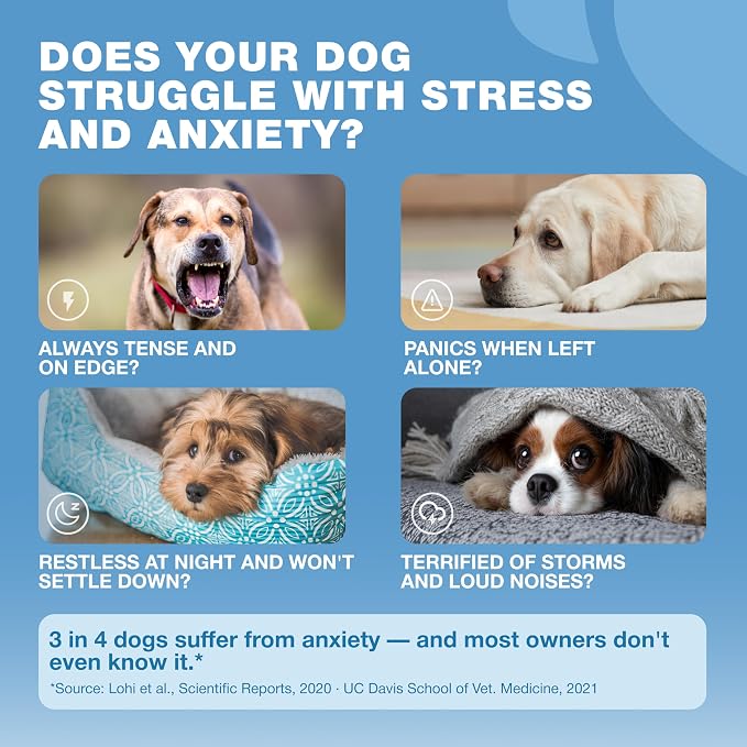 Hemp Calming Chews for Dogs Anxiety Relief