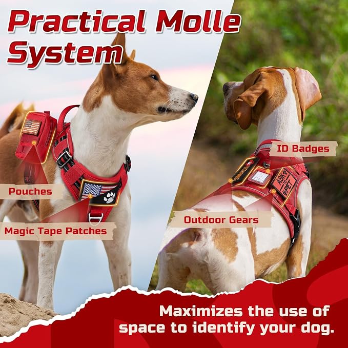 rabbitgoo Tactical Dog Harness for Medium, No Pull Military Service Vest | Molle & Handle, Heavy Duty, Adjustable, Reflective Straps, Easy Control for Training Walking, Red, Medium