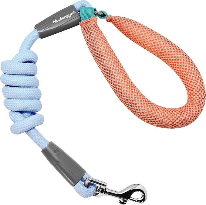 Blueberry Pet Dog Leash - Vibrant Mesh Puffer Handle, Dog Accessories Girl, Puppy Essentials, Heavy Duty Dog Leashes for Large Dogs, Girl Dog, 4ft Durable Rope, Light Blue/Coral