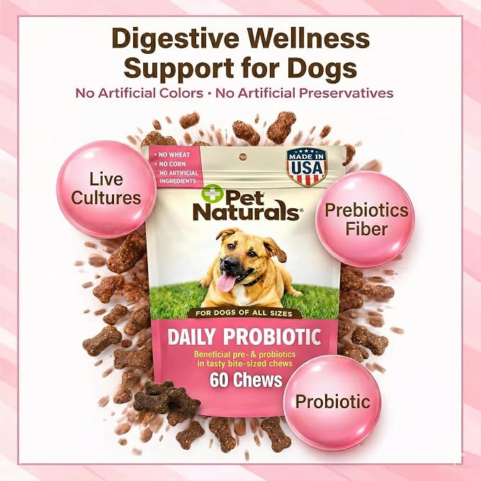 Pet Naturals Daily Probiotic Chews for Dogs - Duck, 60ct
