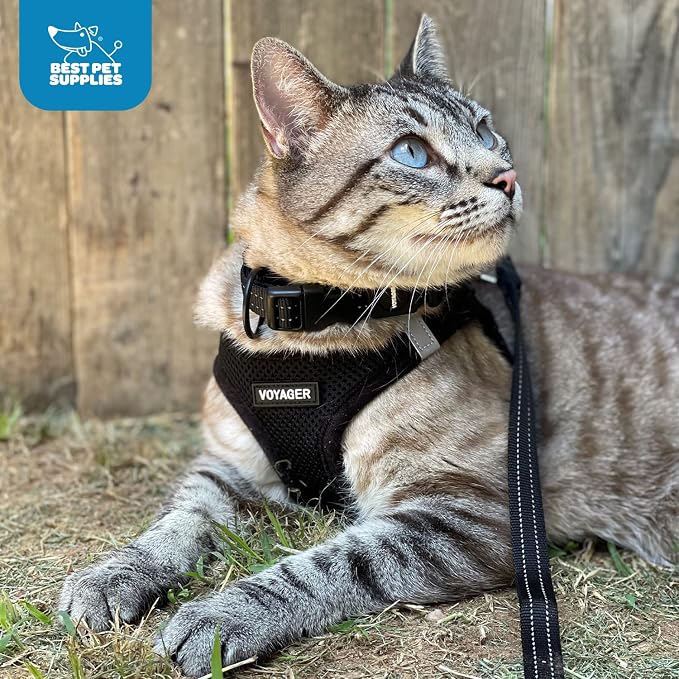 Voyager Step-in Air Dog Vest Harness - Black/Black Trim, X-Large | 20.5 - 23" in Chest, Reflective Bands, All Weather Breathable Air Mesh, Cats Compatible, Lightweight, Fast Drying