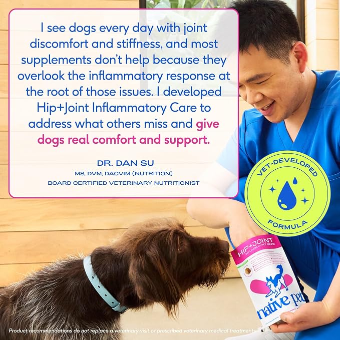 Native Pet Inflammatory Care - Pain Relief for Dogs - Green-Lipped Mussel, Turmeric & Collagen for Dogs - Hip and Joint Supplement Supports Healthy Inflammatory Response & Joint Comfort - 120 Chews