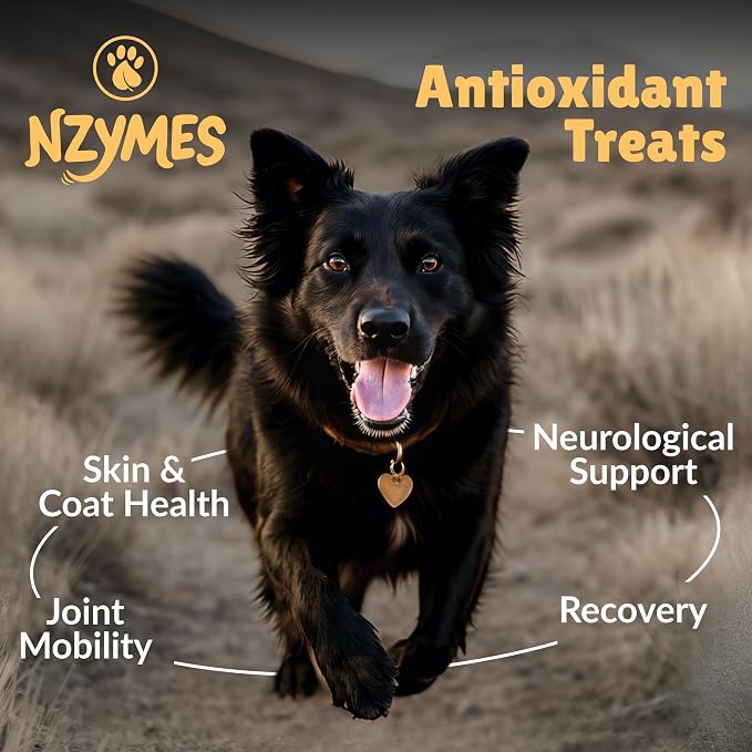 Nzymes Antioxidant Treats - for Dogs Joints, HIPS, Paralysis, Skin, Coat, Hair Loss, Aging, Digestion, Neurological, Seizures - 180 Treats - Made in The USA