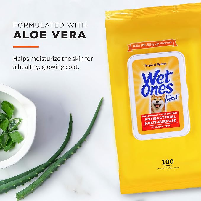 Wet Ones for Pets Multipurpose Dog Wipes with Aloe Vera, Tropical Splash Scent - Pet Bathing Wipes with Wet Lock Seal for Dog Paws and All-Over Use, 100 Count - 3 Pack