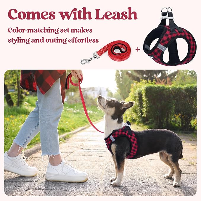 rabbitgoo Dog Harness Small Sized and Leash Set, Step-in Puppy Pet Vest | Light, Soft, Breathable Air Mesh, Easy on and Remove with Hook & Loop, Secure Reflective for Walking, Red Check S