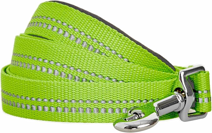 Blueberry Pet 3M Reflective Pastel Color Dog Leash with Soft & Comfortable Handle, 4 ft x 1", Green Flash, Large, Leashes for Dogs