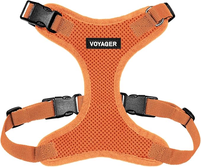 Voyager Step-in Lock Dog Harness - Orange, X-Small | 13 - 16" in Chest, Adjustable, Breathable Air Mesh, Lightweight for Daily Walks, Strong Clips, Heavy Duty D-Ring
