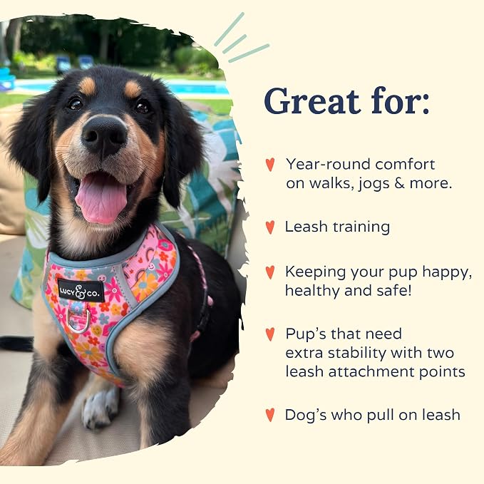 Lucy & Co. Cute No-Pull Y2K Baby Harness - Stop Pulling & Walk Easy - Harness Available in XS-XL for Small, Medium, and Large Dogs - Y2K Baby (X-Large)