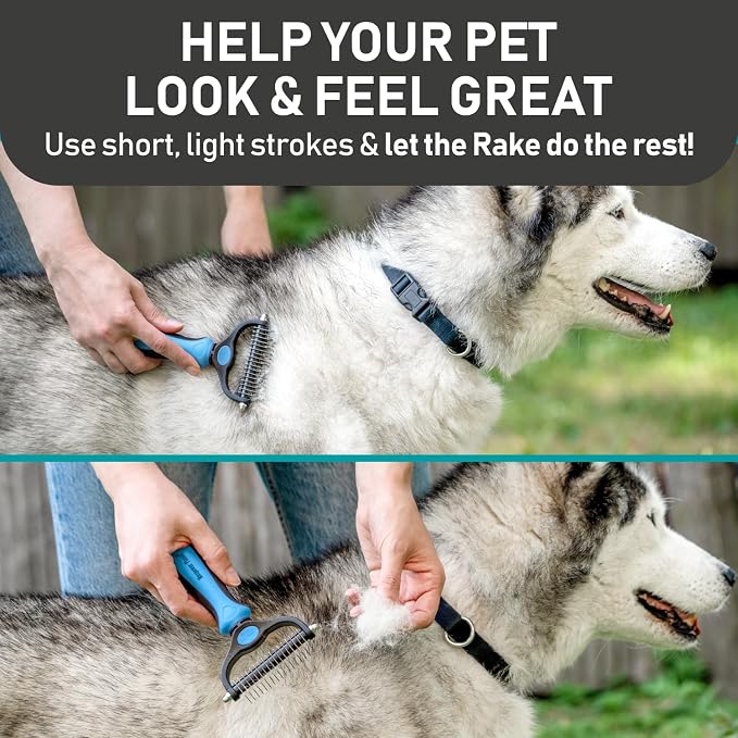 Maxpower Planet Pet Grooming Brush and 2X Grooming Gloves Combo, Blue