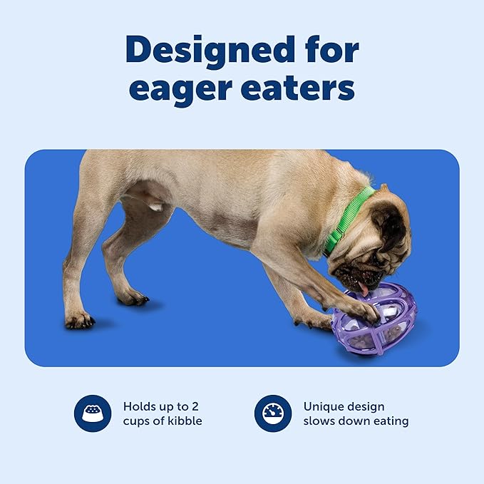 PetSafe Busy Buddy Kibble Nibble Dog Toy - Encourages Natural Instinct Feeding - Patented Treat Meter Design - Rubber Bumpers - Interactive Slow Feeder Ball - Purple - Small